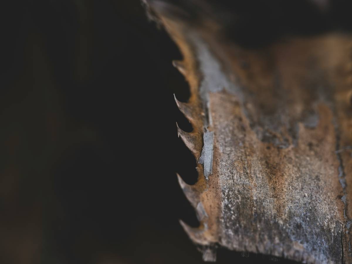 Close-up of high-quality saw blades for hand saw installed in a traditional frame saw