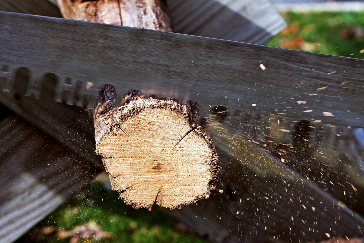 Replacement Hand Saw Blades: 7 Proven Tips to Avoid Costly Mistakes